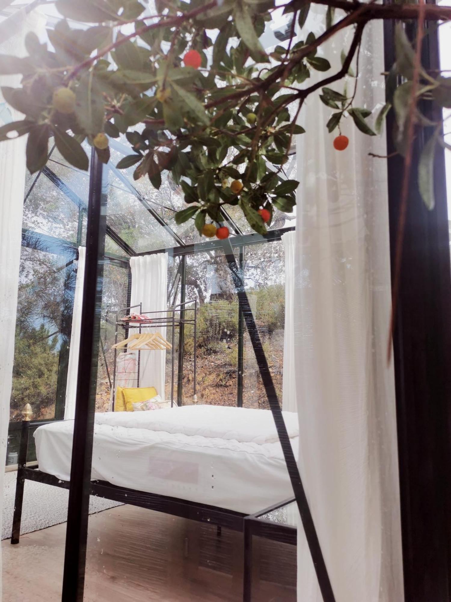 Romantic Skyview Glasshouses Rogil Εξωτερικό φωτογραφία